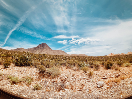 Red Rock Canyon