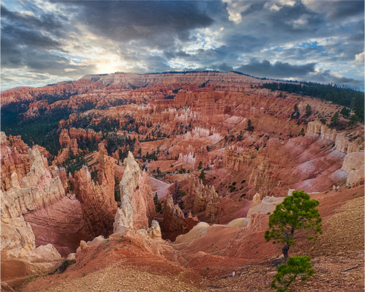 Bryce Canyon